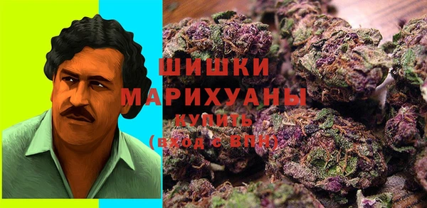 мдпв Заволжск