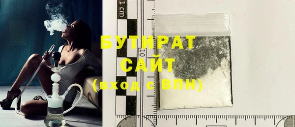 крисы Ельня