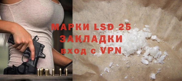 крисы Ельня