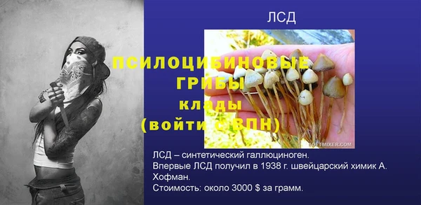 спиды Дмитровск
