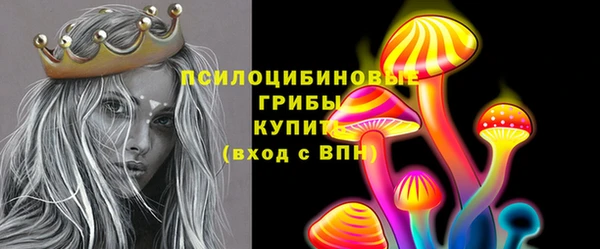 трава Елабуга