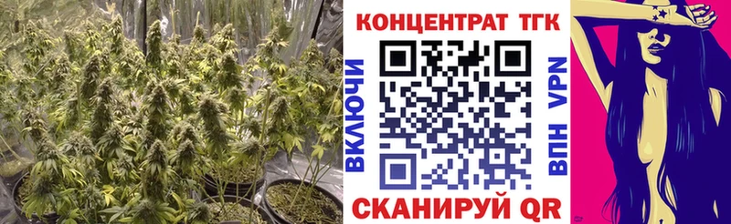 Купить  Инта  ТГК гашишное масло 