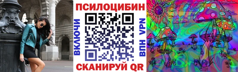 Купить Инта Псилоцибиновые грибы Psilocybe
